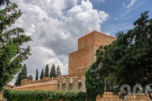 Castillo de Enrique II de Trastámara (1)