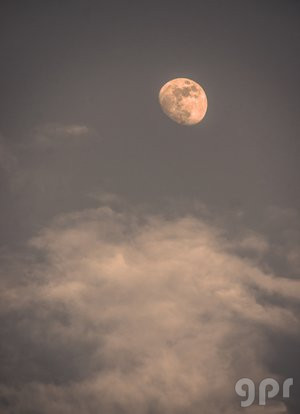 Luna de Albuquerque