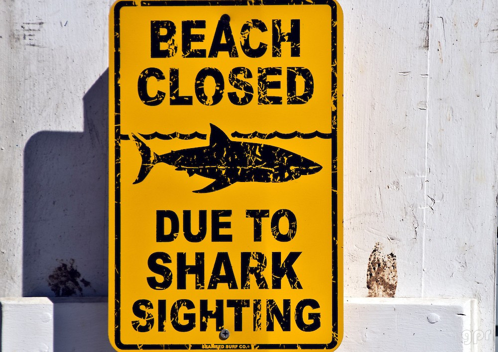 Beach Closed Sharks