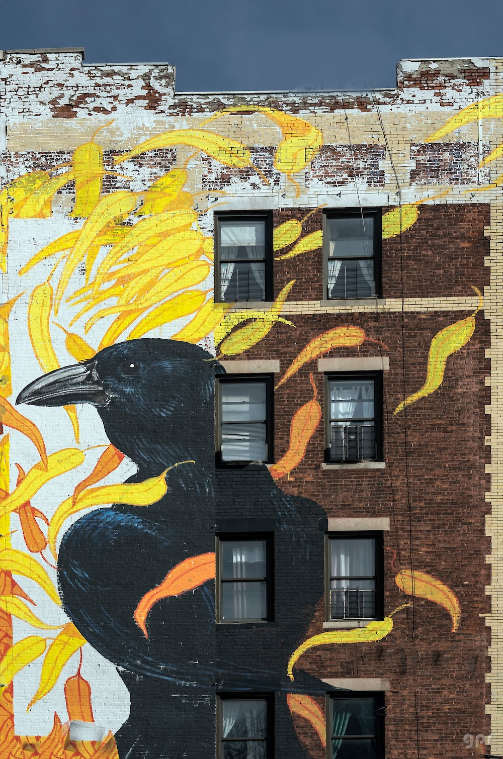 El cuervo de Washington Heights