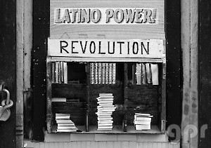 Latino Power