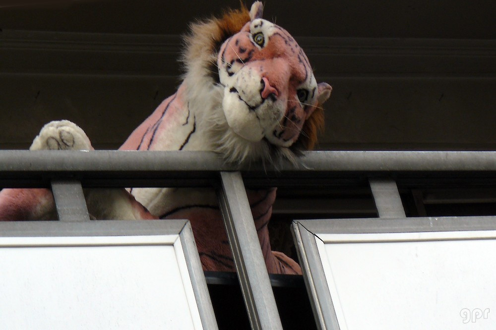 Un tigre en el balcón