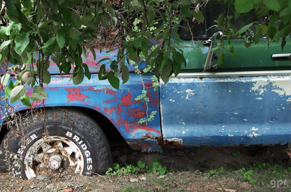 Viejo automóvil a la sombra de un manzano