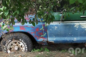 Viejo automóvil a la sombra de un manzano