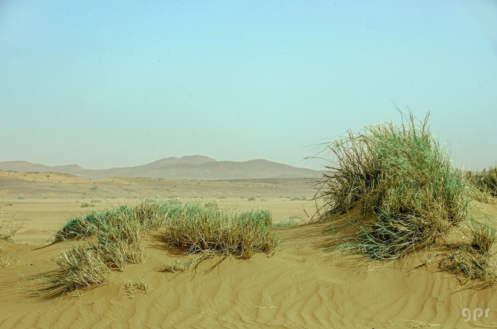 Paisaje del Sáhara (9)