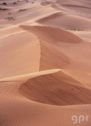 Paisaje del Sáhara (15)