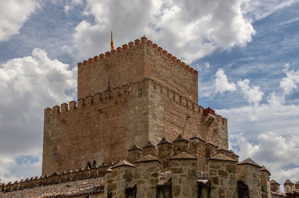 Castillo de Enrique II de Trastámara (2)