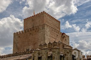 Castillo de Enrique II de Trastámara (2)